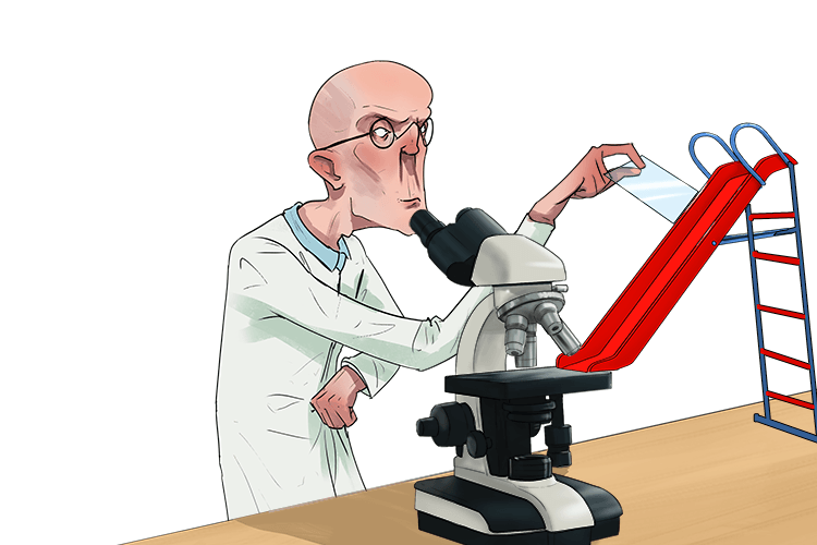 I slide (slide) the thin piece of glass under the microscope to examine the specimen